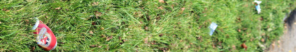 Erarbeiten von Konzepten im Bereich Abfall, Recycling, Resourcenmanagment. : Wegwerfen,Entsorgen,Recycling,Resourcen,Abfallmanagment